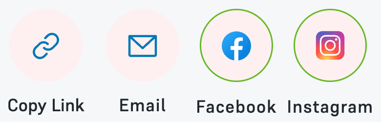 The Copy Link, Email, Facebook and Instagram share buttons.