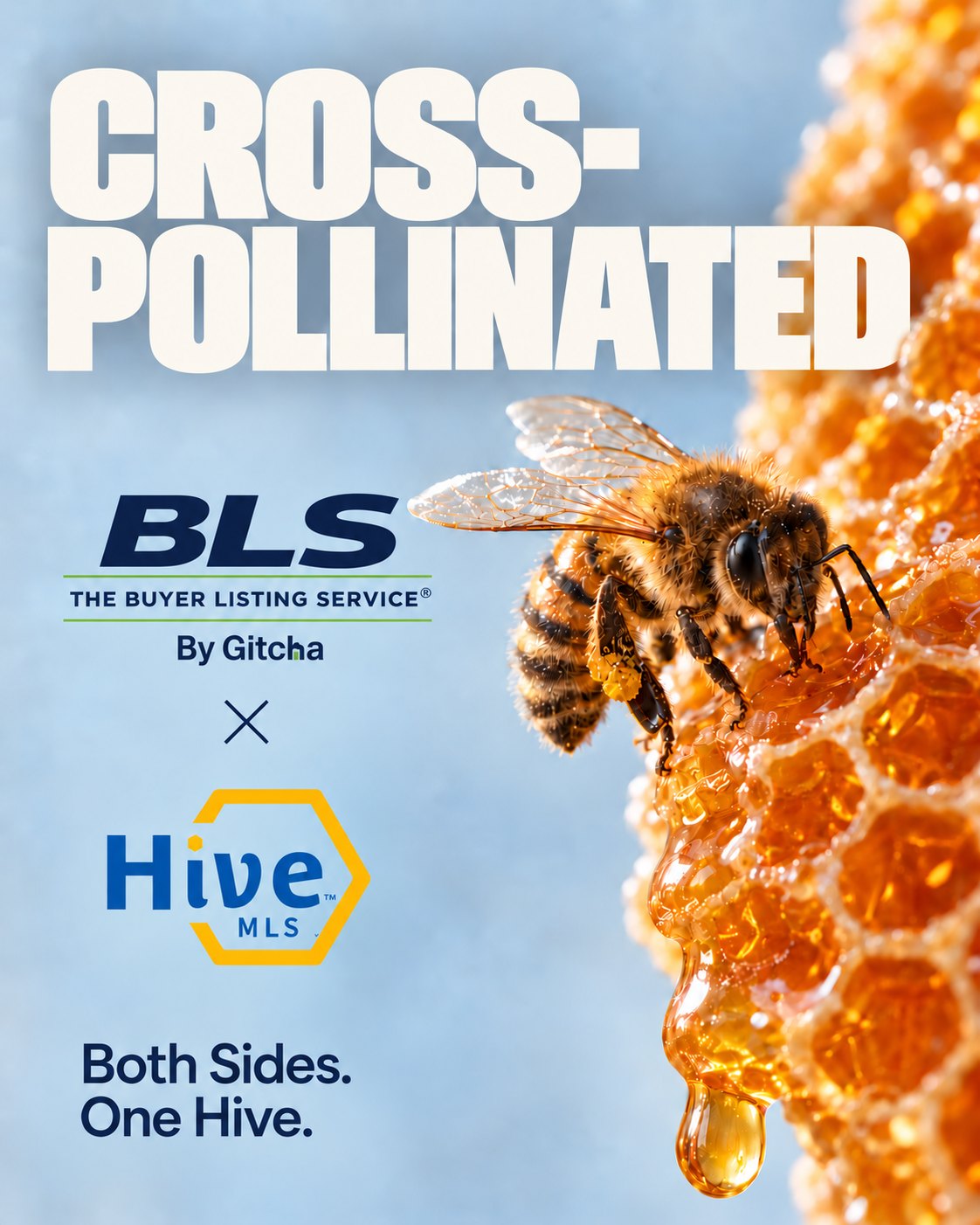 Cross-pollinated: The Buyer Listing Service by Gitcha x Hive MLS. Both sides. One Hive.
